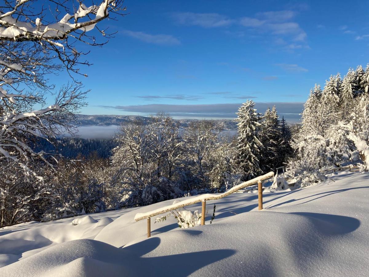La Source D'En Haut Valcivieres Екстериор снимка