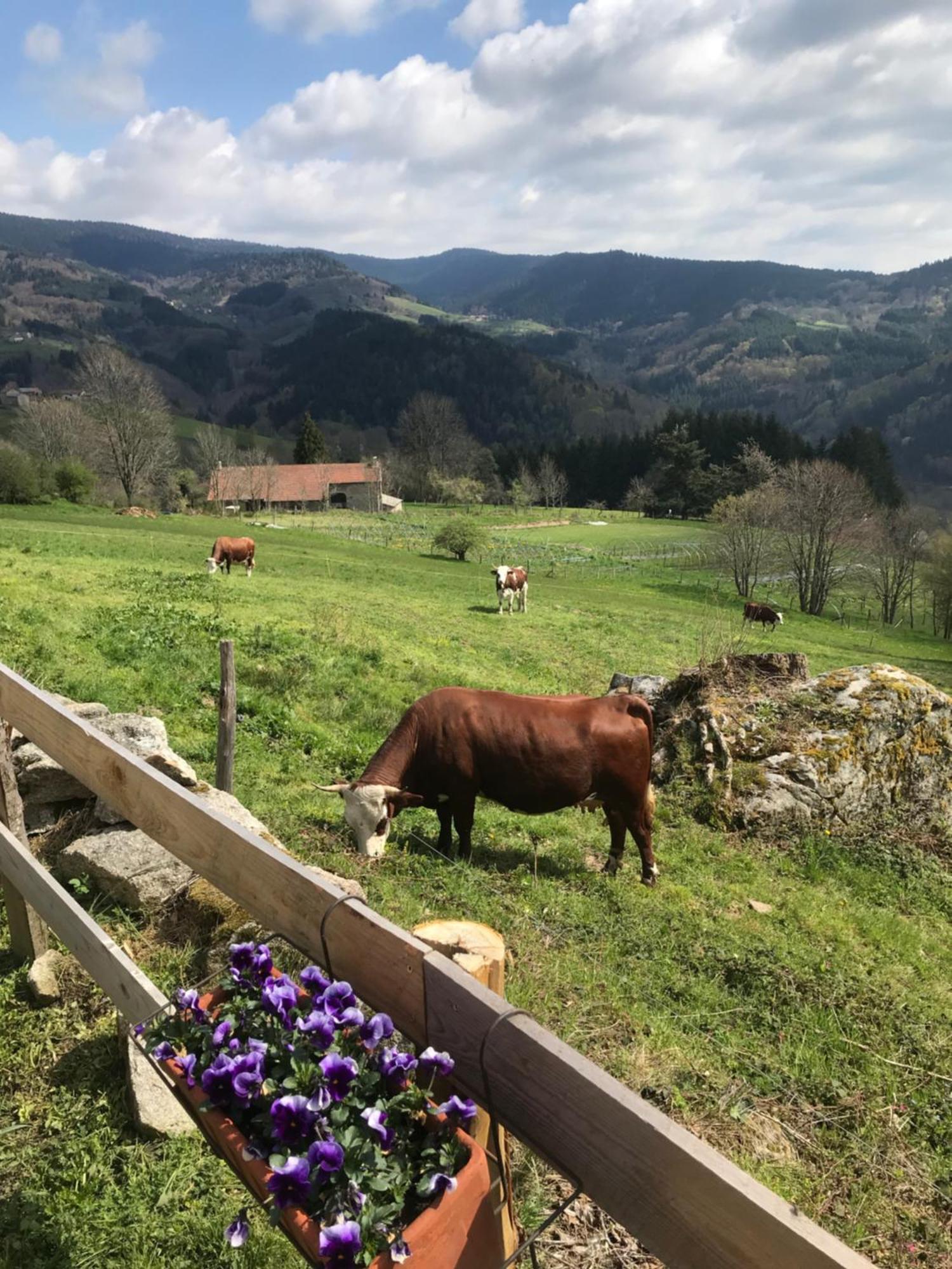 La Source D'En Haut Valcivieres Екстериор снимка