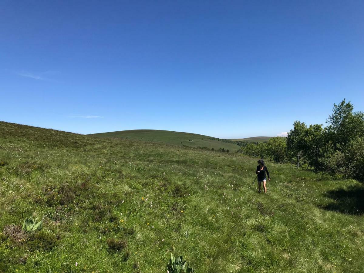 La Source D'En Haut Valcivieres Екстериор снимка