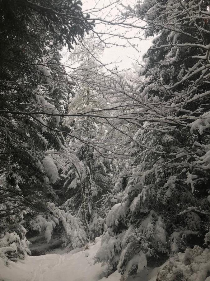 La Source D'En Haut Valcivieres Екстериор снимка